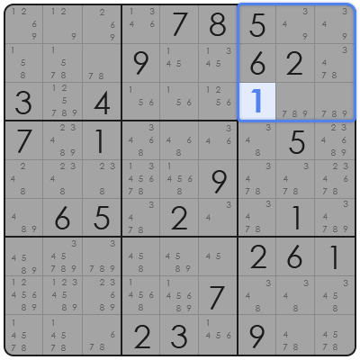 sudoku entry